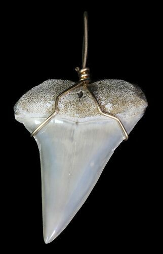 Polished, Fossil Mako Shark Tooth Pendant #65581